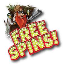 Allt om free spins & bonusar